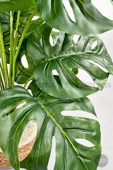 BİÇİÇEK Yapay Monstera Deve Tabanı 65-70 cm - Resim 5