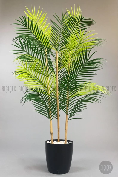 BİÇİÇEK 115cm Areka Ağacı 24 yapraklı yakut Saksıda - 7