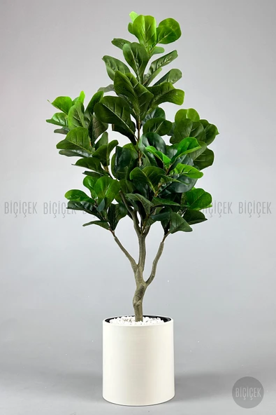 BİÇİÇEK Keman Yapraklı Kauçuk Bitkisi Fiddle Lyrata Metal Saksı - Resim 8