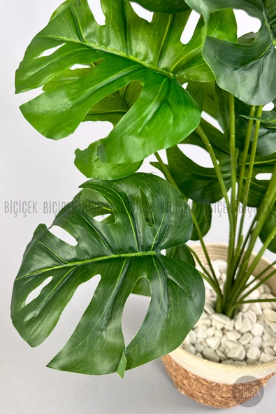 BİÇİÇEK Yapay Monstera Deve Tabanı 65-70 cm - Resim 8