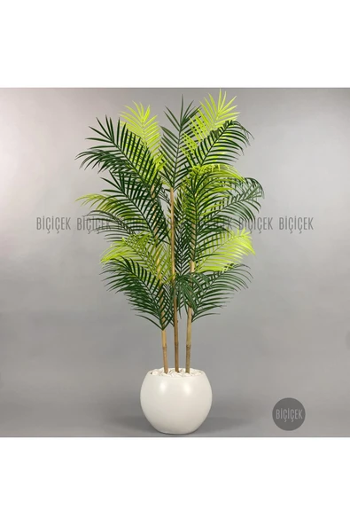 BİÇİÇEK 120cm Areka Ağacı 24 yapraklı Küre Saksıda - Resim 7