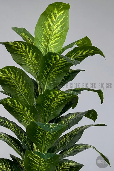 BİÇİÇEK Difenbahya 200 Cm Yapay Bitki Ağaç - Resim 2