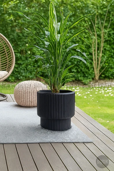 BİÇİÇEK VEGA Saksı 37 CM ve İç Kova Dahil - Resim 3