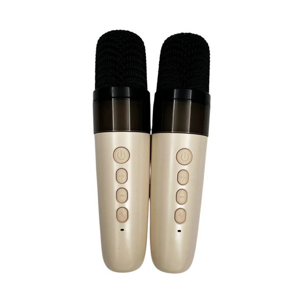 Nettech K13 Karaoke Box Kablosuz Hoparlör - Speaker NT-108818 - Resim 2