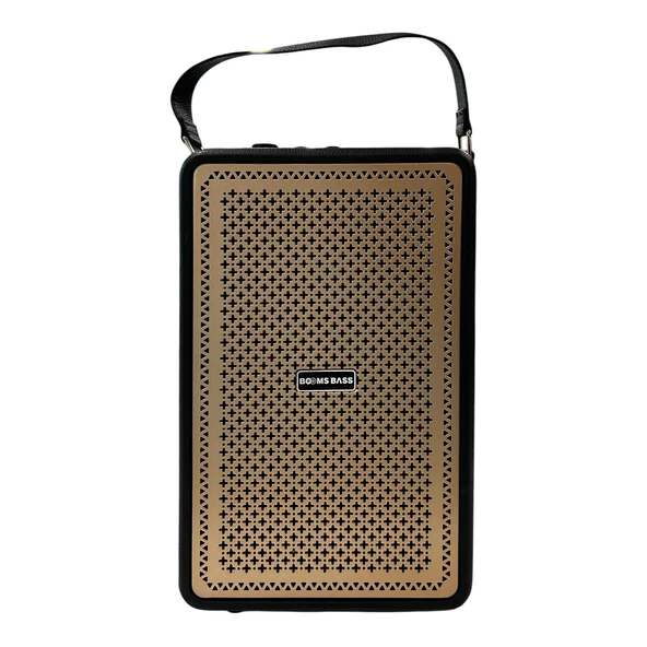 Booms Bass M4203+ Karaoke Box Kablosuz Hoparlör - Speaker NT-108804 ürün görseli 1