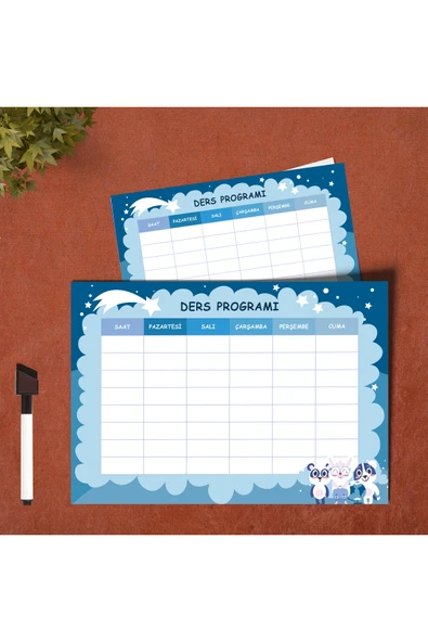 LİGONA Okul Koala Ders Programı Planlayıcı Yaz-Sil Pvc Poster 21x30 cm