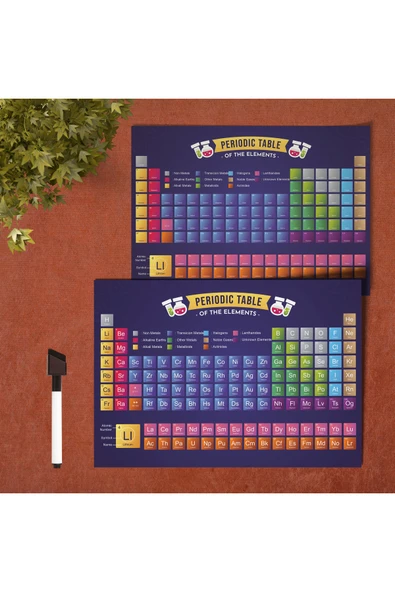 LİGONA Yaz Sil Pvc Kaplı Periyodik Tablo Çift Taraflı A4