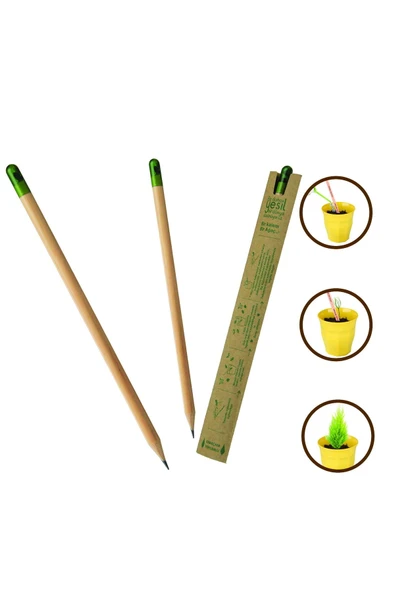 Libor Tohumlu Kurşun Kalem 5 Adet