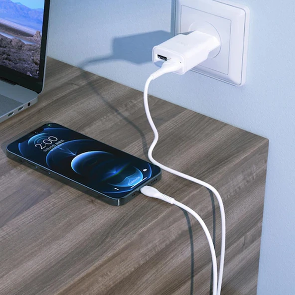 Teknonet TN-DC17 Plastik 100 Cm Lightning Şarj ve Data Kablosu NT-96629 - Resim 2