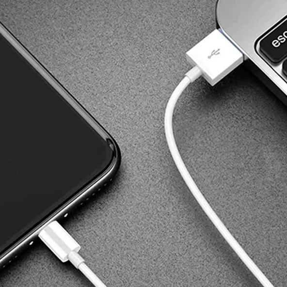 Nettech NT-DC09 2.4A Plastik 200 Cm Lightning Şarj ve Data Kablosu NT-DC09 - Resim 2