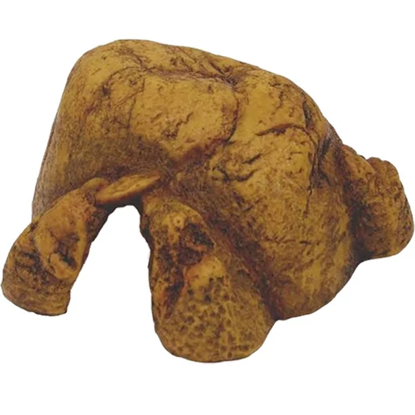 Exo Terra Sürüngen Mağarası (XXL) ürün görseli