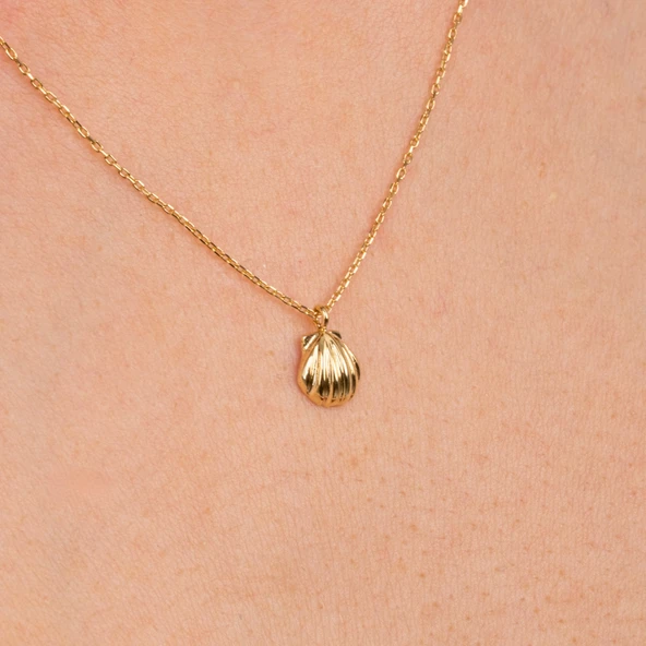 Altın Kolye - Mini İstiridye 14 Ayar Altın Kolye