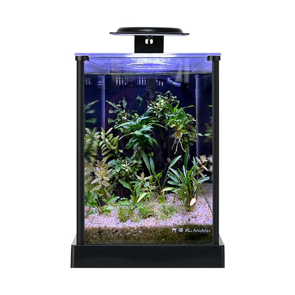 Anubias A168 Nano Akvaryum Set 18,7x23,7x25,8 cm ürün görseli