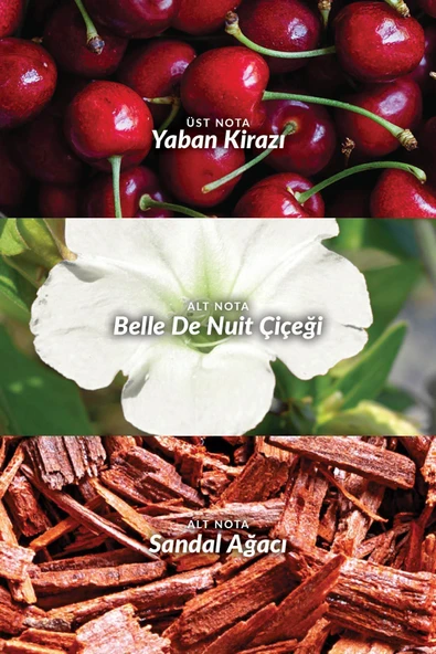 AVON Far Away Beyond The Moon Kadın Parfüm Edp 50 Ml. - 2