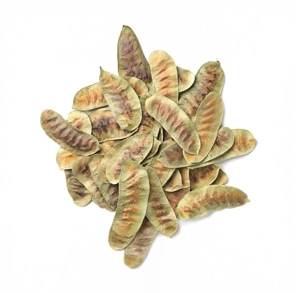 Açlık Otu Tokluk Hissi Veren Yağ Yaktırıcı Giderici Müshil Etkili Bitkisel Çay 200 Gr - 2