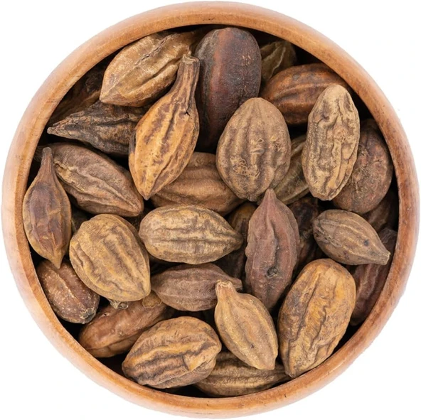 Sarı Halile 200 gram ( Terminalia Chebula ) Sarıhalile Bitkisi
