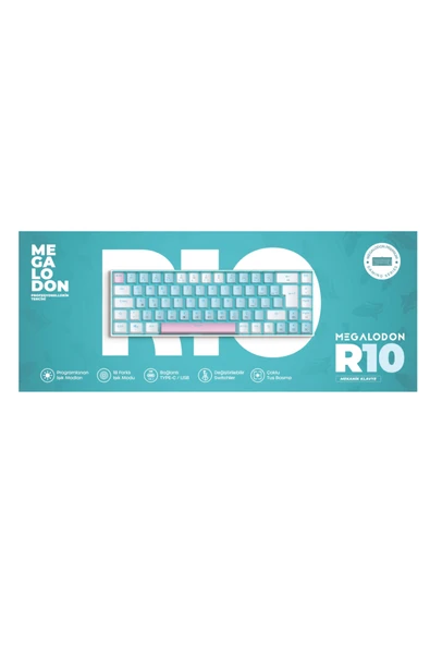 R10 Mekanik Oyuncu Klavyesi Full Anti-Ghosting Hot Swap Red Switch Buz Mavisi Işıklandırma (TürkçeQ) - Resim 2