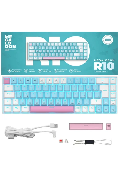 R10 Mekanik Oyuncu Klavyesi Full Anti-Ghosting Hot Swap Red Switch Buz Mavisi Işıklandırma (TürkçeQ) ürün görseli 1