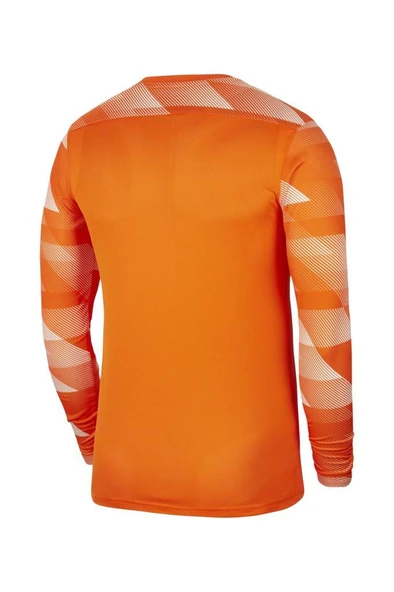 Nike M NK DF Park IV JSY GK CJ6066-819 Kaleci Forma - 2