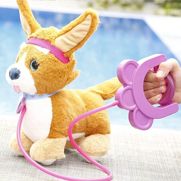 Sevimli Koşu Arkadaşım Latte - Resim 2