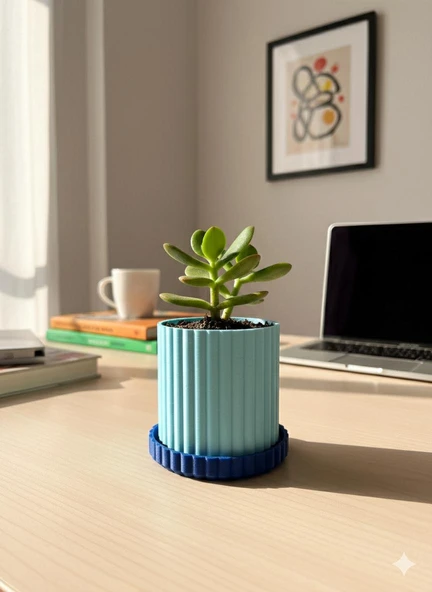 Alade Saksı Seti - Resim 3