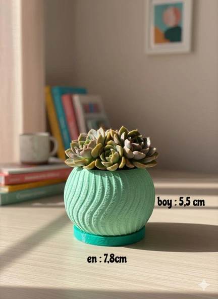 viuv Saksı Seti - Resim 4