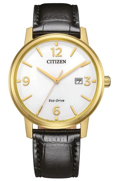 Citizen BM6756-01A Erkek Kol Saati ürün görseli 1