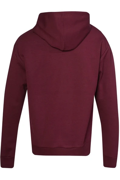Hummel Grayse Hoodıe 922400-3858 Bordo Erkek Sweatshirt - 3
