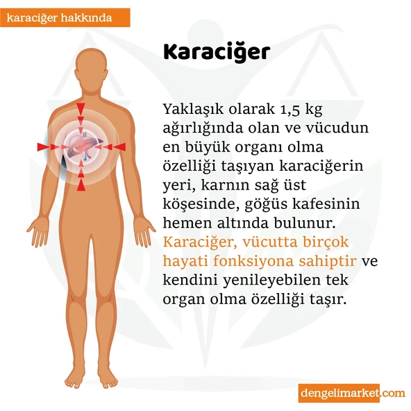 HİNT YAĞI SARGI BEZİ 4'LÜ SET: KARACİĞER, PELVİK, TİROİD/GÖZ VE GÖĞÜS SARGI BEZİ, Pamuklu, Ergonomik - Resim 7