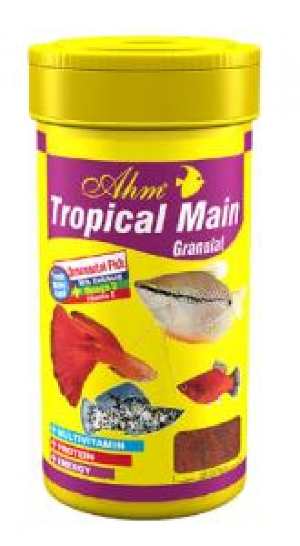 Ahm Tropical Main Granulat Balık Yemi 250 Ml