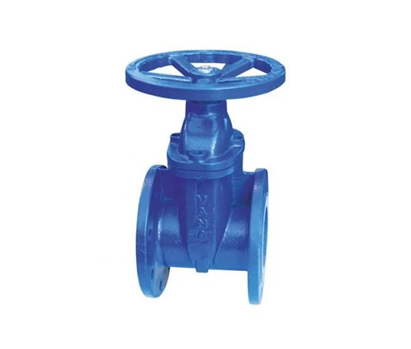 Klepsan 1184 Elastomer Sürgülü Vana F4 Gg40 Dn 125 ürün görseli