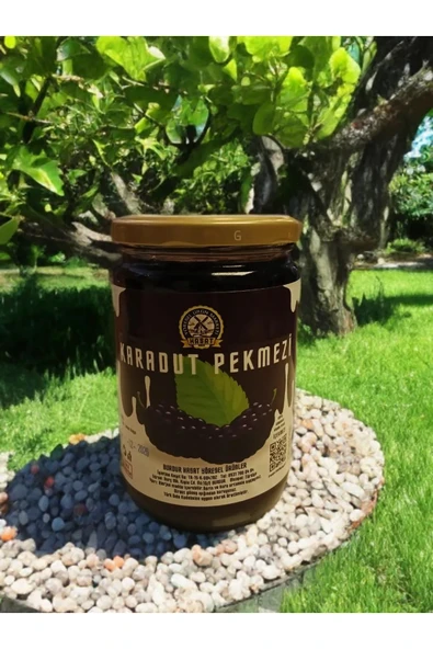 850 ml Doğal Karadut Pekmezi ürün görseli