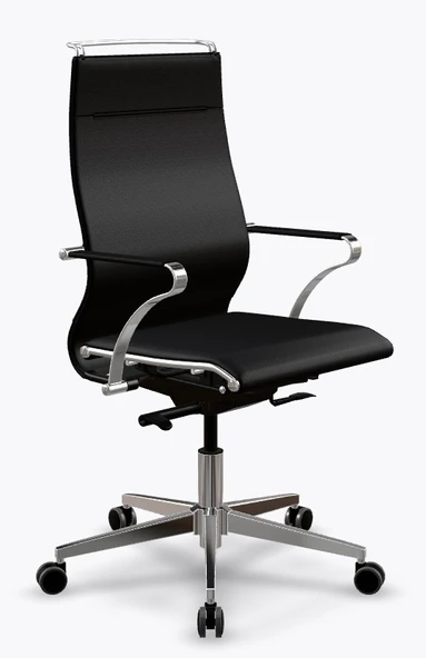 Ergolife Synchrosit Well Ergonomik Ofis Sandalyesi | Siyah, Deri Çalışma Sandalyesi - 265.5D.1.544