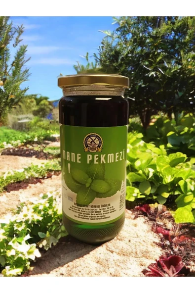 700 ml Doğal Nane Pekmezi ürün görseli 1