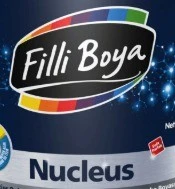 Filli Boya Nucleus Koruma Etkili Dış Cephe Boyası Beyaz 2.5Lt. ürün görseli