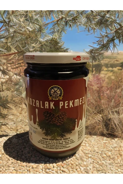 850 ml Selvi Çam Kozalağı Pekmezi ürün görseli 1