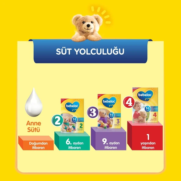 Bebelac Bebek Devam Sütü No3 250 Gr - Resim 12