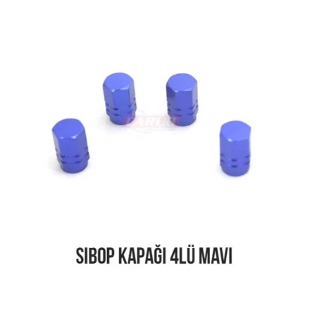 Carub Sibop Kapağı 4Lü Mavi BR5531117 ürün görseli