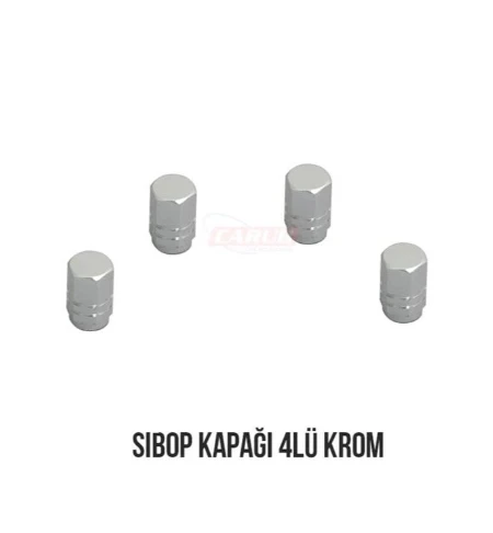 Carub Sibop Kapağı 4Lü Krom Gri BR5531116 ürün görseli