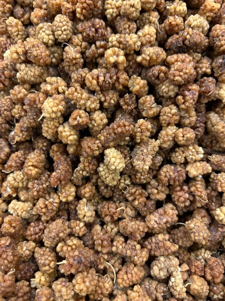 Öz Altın Kayısı Dut Kurusu 1 KG - Resim 2