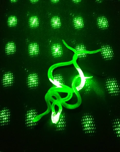 Şaka Yılan ve Kırkayak Karışık 36 Adet (5314) - 3