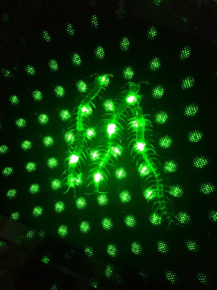 Şaka Yılan ve Kırkayak Karışık 36 Adet (5314) - 4