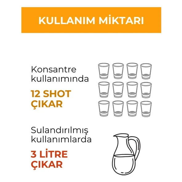 Otsa Konsantre Zencefil Shot 350 g - Resim 4