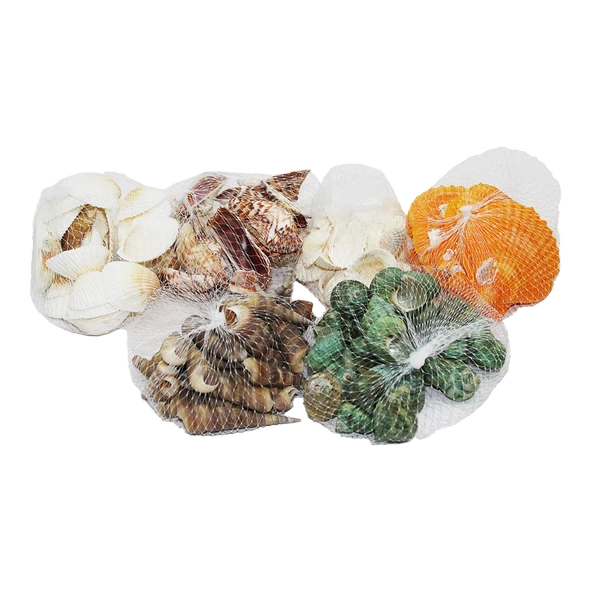 FİLELİ MİDYE DENİZ KABUK VAZO TAŞI RENKLİ MİX (5314)