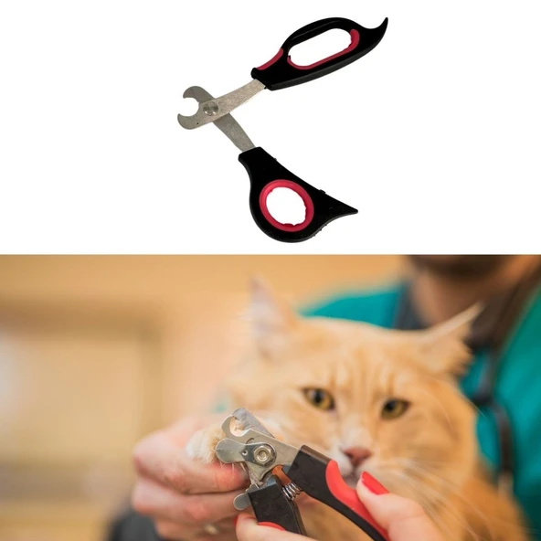 Büyük Irk Köpek Kedi Çelik Uçlu Evcil Hayvan Tırnak Makası Pati Bakım Aleti Ergonomik Kaymaz (5314) - 3