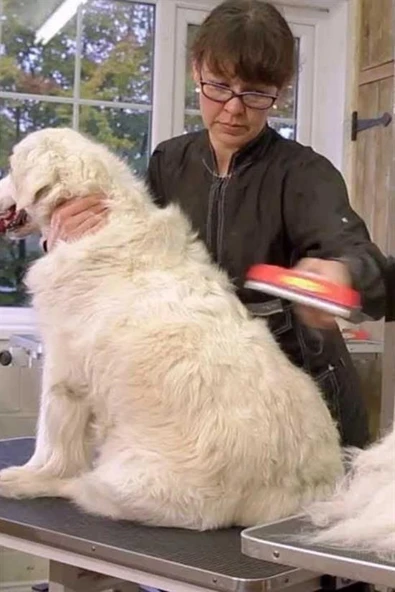 23 KG Üzeri Uzun Tüylü Köpekler İçin Tüy Toplayıcı Ergonomik Tarak (5314) - 5