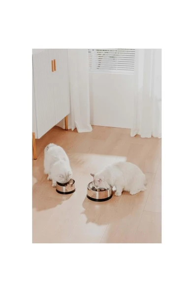 Pawgether BOWL 2 METAL MAMA KABI 400ML - Resim 4
