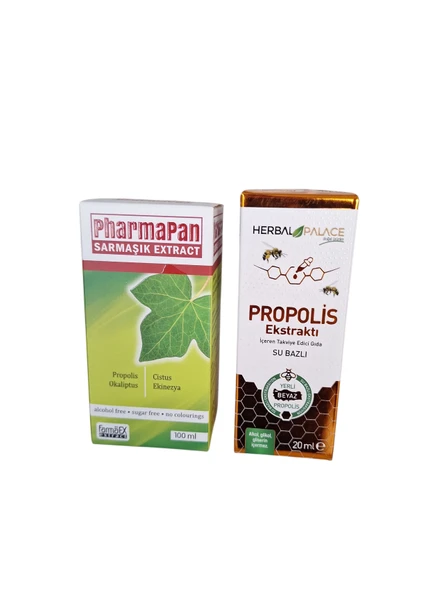 SARMAŞIK EKSTRAT 100ML + PROPOLİS EKSTRAT(ÖKSÜRÜK KESİCİ & AKCİĞER DETOX) - Resim 2