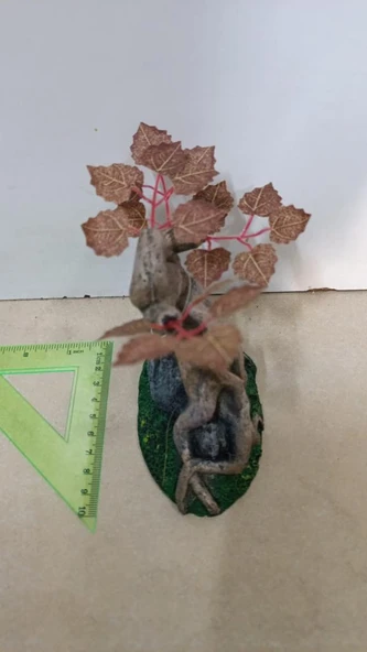 King Akvaryum Dekor Ürün Ebatları : 12x8x12 - Resim 2