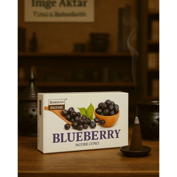 Darshan İncense Blueberry Konik Tütsü 10 Adet ürün görseli